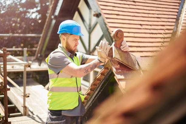 Best Flat Roof Repair Services  in Norristown, PA